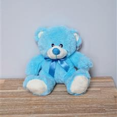 Teddy bear blue