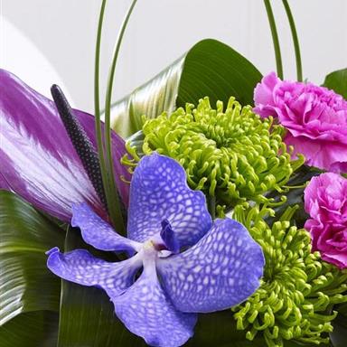 Carnation, Vanda Orchid and Anthurium Arrangement