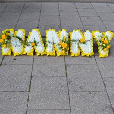 NANNY Yellow and white