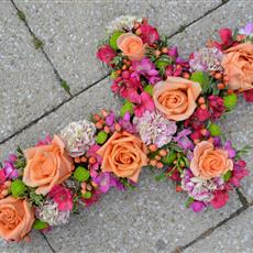 Rose and Freesia Cross