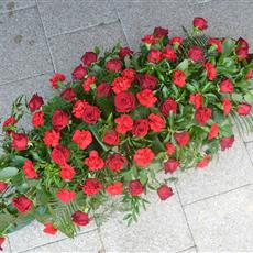 Rose and Carnation Casket Spray - Red 5ft