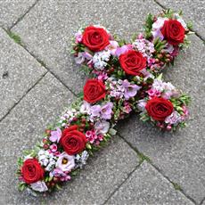 Red Rose and Pink Freesia Cross