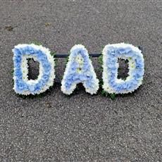 DAD Hydrangea Blue