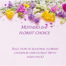 Florist Choice Hand Tied (with Aqua pack)