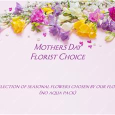 Florist Choice (no aqua pack)