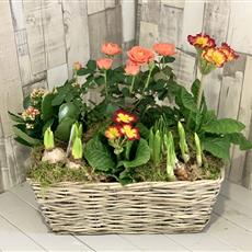 Planted Basket