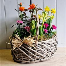 Spring Garden Basket