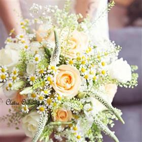 fwthumbawedding_6.jpg