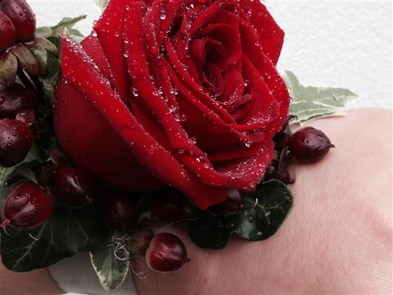 Red rose hot sale wrist corsage